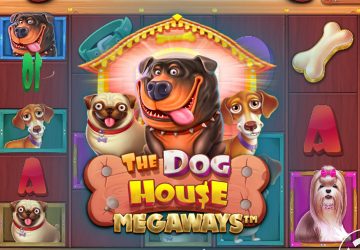 NOVOMATIC - игровой автомат онлайн от Various с RTP 95.61%